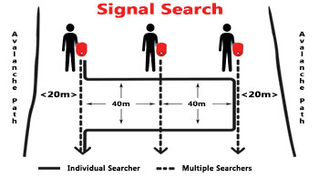 Signal Search