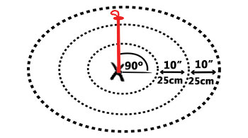 Signal Search