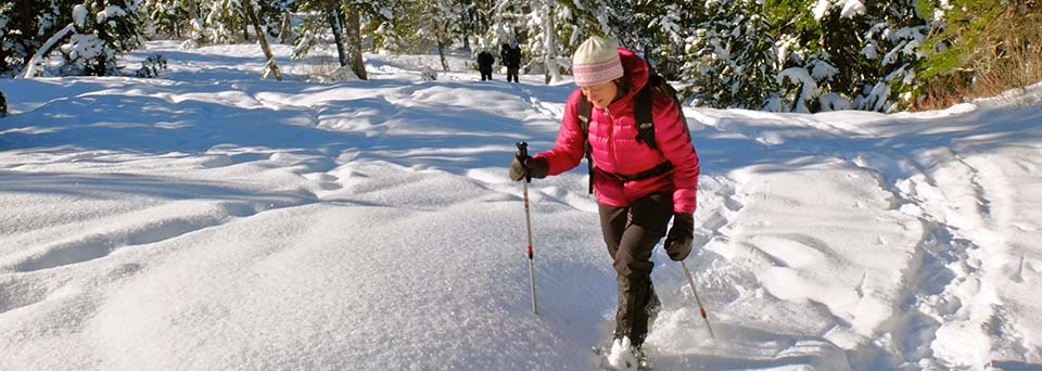 X-country skiing and snowshoeing insurance