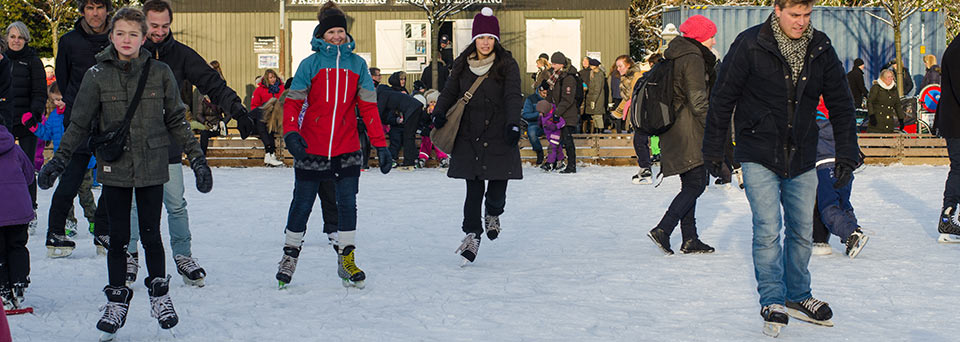 Ice Skating Insurance