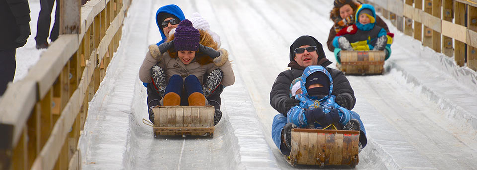 Sledging Tobogganing Insurance